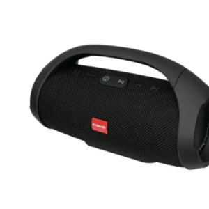 CAIXA DE SOM EP-2339 ECOPOWER